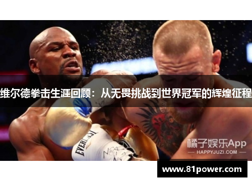 维尔德拳击生涯回顾：从无畏挑战到世界冠军的辉煌征程